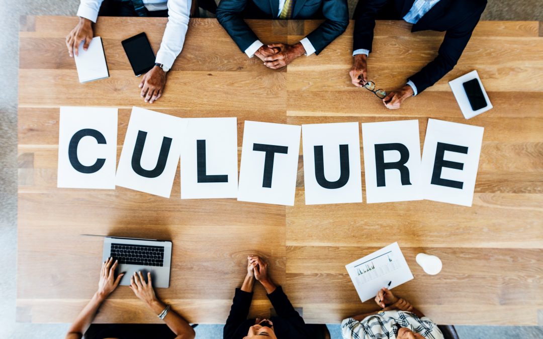 Como entender o que é a cultura de startup?