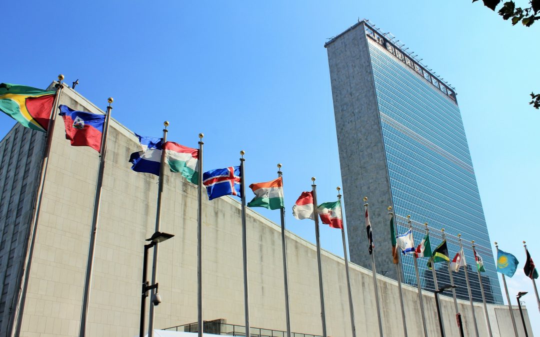 Há uma nova ONU nascendo na frente dos meus olhos!!!